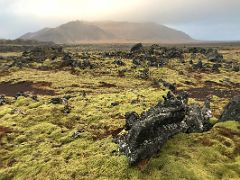 03A Black lava, green moss, and Bjarnarhafnarfjall mountain beyond glowing red in Berserkjahraun lava field Snaefellsnes Peninsula Iceland