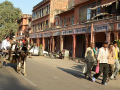 07A Jaipur Old City Transportation Includes Horse