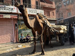 Jaipur Old City