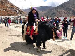 07 Riding A Yak Is A Popular Fun Tourist Activity At Tsomgo Lake Sikkim India