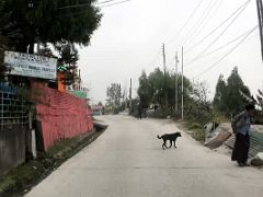 09A Driving Thru Lachung North Sikkim India