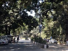 06A Banaras Hindu University BHU Has Wide, Tree-lined Streets In Varanasi India