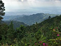 08 Kingston is in the distance beyond the green forest covered hills from Holywell National Park Blue Mountains near Kingston Jamaica