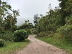 10A We walked along a green path from the parking lot to the visitors centre building at Holywell Blue Mountains near Kingston Jamaica