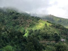 14B The green misty hills of the Blue Mountains from our nature walk and coffee tour at Holywell Blue Mountains near Kingston Jamaica