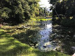 09A An idyllic scene with a lily pond, palm trees, colourful flowers and a green painted bridge in the Chinese Garden Royal Botanical Hope Gardens Kingston Jamaica