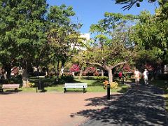 02 Strolling through the flowers and trees in beautiful Emancipation Park Kingston Jamaica