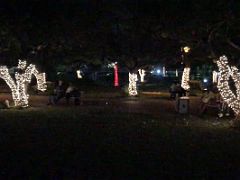 07 People lounge on park benched with lights on the trees at night in beautiful Emancipation Park Kingston Jamaica