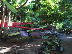 02A Life Yard is an oasis in the area with an urban farm Paint Jamaica street art Kingston Jamaica