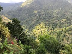 06 Looking across at the green tree-covered hills from Strawberry Hill Resort near Kingston Jamaica