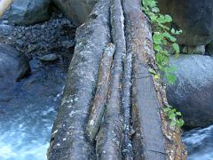 Kangchenjunga 02 04 Log Bridge on the way to Chirwa The next day, we trekked from Mitlung (880m) to Sakathum (1640m) in just over seven hours, ascending only 760m. The morning is perfectly clear after yesterday…