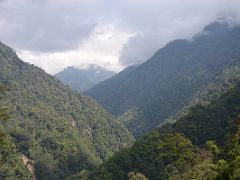 03C The Forested Hills Ahead Near The Beginning Of The Goecha La Kangchenjunga Trek From Yuksom Toward Sachen