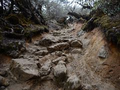 13B The Rocky Trail Between Phedang And Dzongri On The Goecha La Kangchenjunga Trek