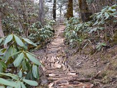 04A Trail Nears Phedang On the Trek From Kokchrung On The Goecha La Kangchenjunga Trek