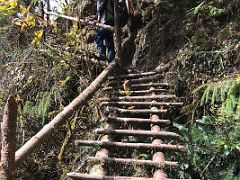 05B The Trail Climbs A Wooden Branch Ladder On Day 1 Of The Trek To Tallem To Kangchenjunga East Face North Sikkim India