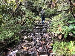 03B Most Of The Trail Is Relentless Slippery Steps That Climb From Tallem To Jakthang On Day 2 Of The Kangchenjunga East Face Green Lake Trek