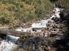 04B The Trail Crosses A Side Stream Just After Leaving Jakthang Camp To Yabuk On The Morning Of Day 3 Of Kangchenjunga East Face Green Lake Trek Sikkim India