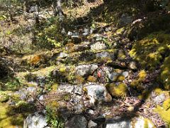 08B The Trail Climbs Stone Steps As It nears Yabuk Camp On Day 3 Of Kangchenjunga East Face Green Lake Trek Sikkim India