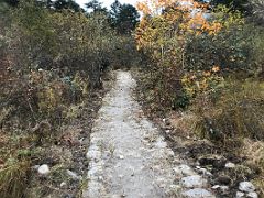 03B The Trail After Leaving Jakthang Camp On The Hike To Tallem On Day 6 Of Kangchenjunga East Face Green Lake Trek Sikkim India