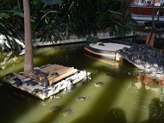 04B There Are Numerous Tortugas Turtles In The Tropical Garden Concourse Of The Atocha Railway Station Madrid Spain