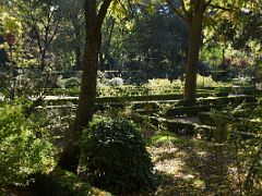 04C Trees And Plants Botanical Garden Real Jardin Botanico Madrid Spain