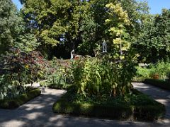 06A Trees, Flowers, Plants and Statues Botanical Garden Real Jardin Botanico Madrid Spain