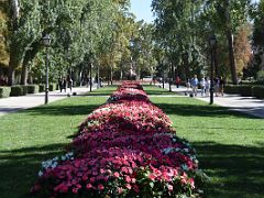 01B Flowers Fill The Median Of Paseo de Mexico El Retiro Park Madrid Spain