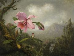 04 Orchid and Hummingbird Near a Waterfall - Martin Johnson Heade 1902 Thyssen Art Museum Madrid Spain