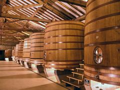 03C Large Wine Barrels At Cune Winery Haro La Rioja South Of San Sebastian Donostia Spain