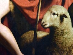 09B St John the Baptist - Caravaggio 1594-5 detail sheep is a reminder of the Sacrifice of Christ Sacristy Toledo Cathedral Spain